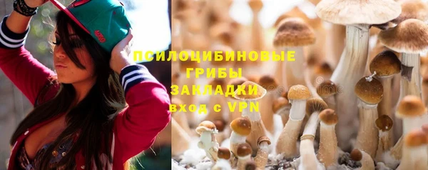 прущий лед Карпинск