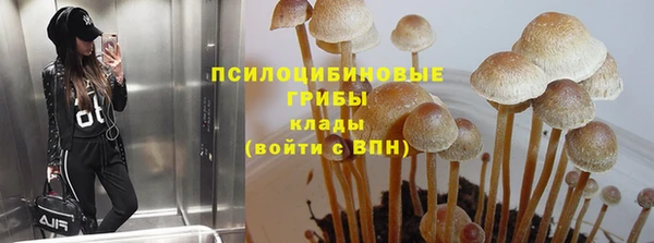 прущий лед Карпинск