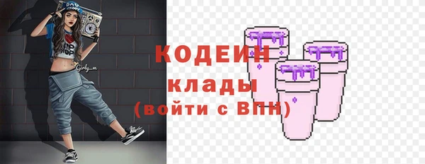 прущий лед Карпинск