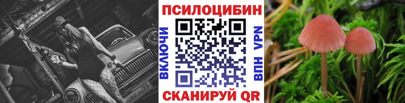 закладка  darknet какой сайт  Псилоцибиновые грибы Psilocybe  Каменск-Уральский 