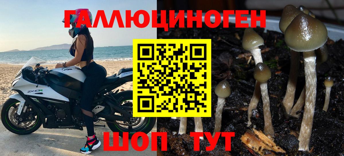 Гашиш  Alpha-PVP СОЛЬ   МЕФ кристаллы  МДМА  ГАШИШ  МАРИХУАНА  Каменск-Уральский  Вход с VPN  Cocaine 