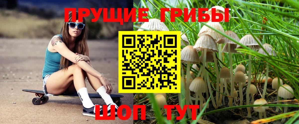 Каменск-Уральский  Псилоцибиновые грибы мухоморы  Вход с VPN 