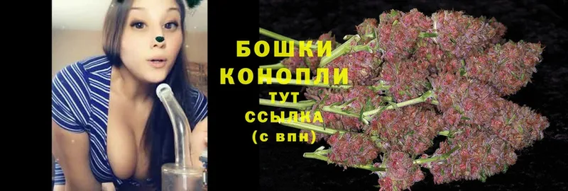 блэк спрут сайт  что такое наркотик  Каменск-Уральский  Каннабис OG Kush 